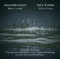 Felix Treiber
